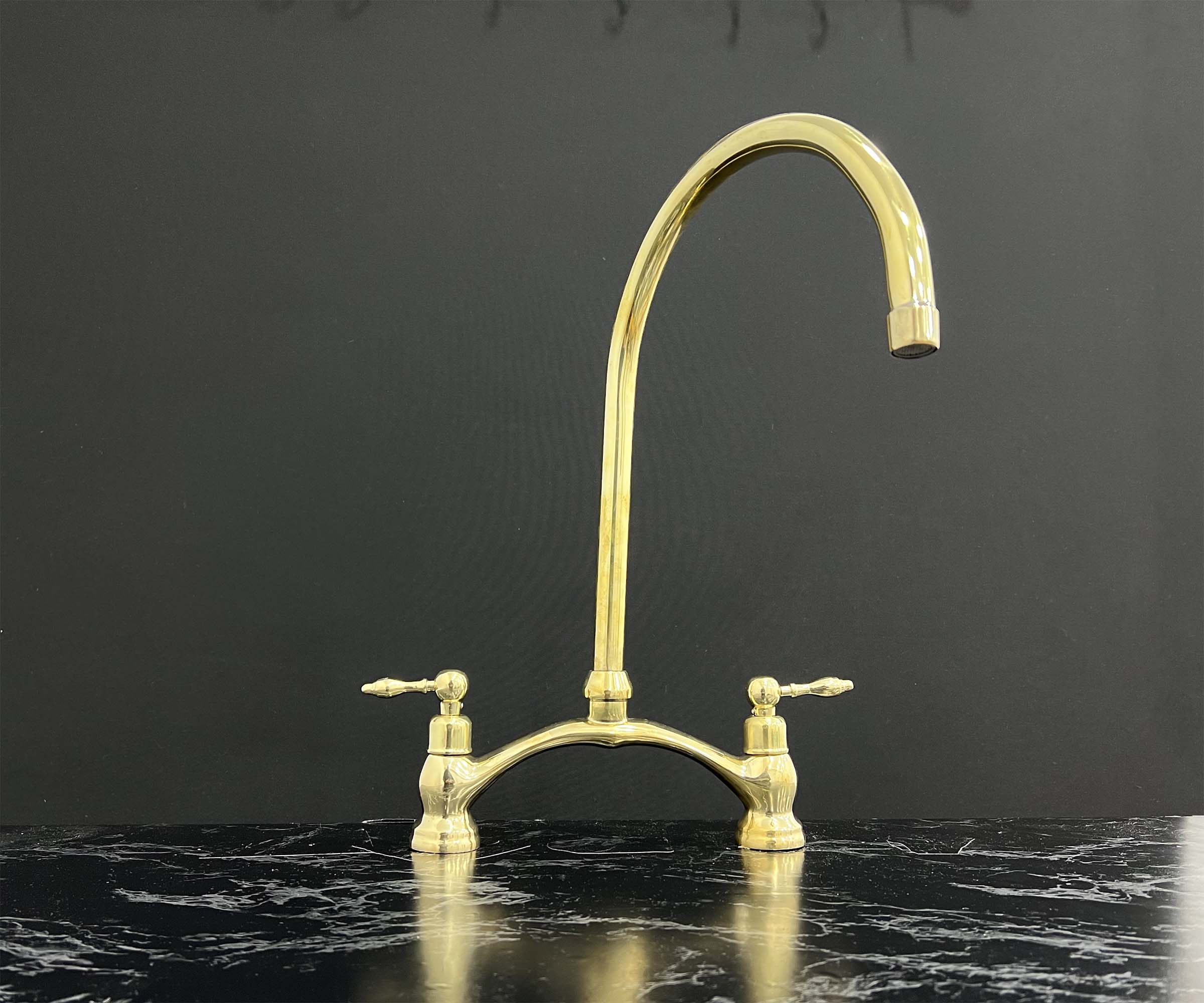 Gooseneck Swivel Spout